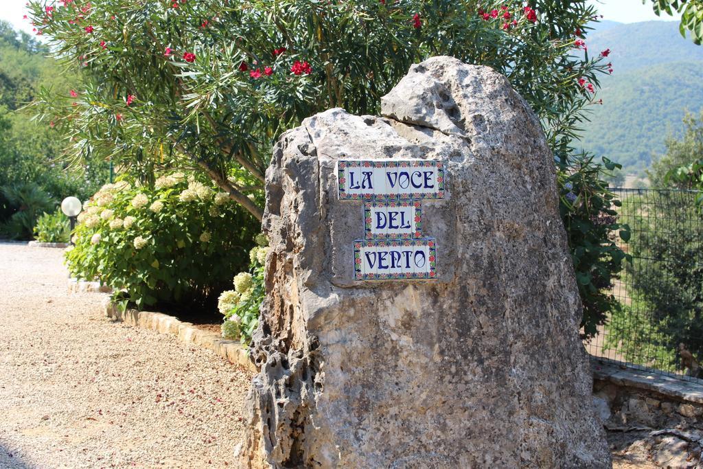 Villa La Voce Del Vento Pastena  Eksteriør bilde